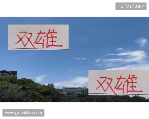 尊龙app手机版下载官网最新版本免费下载,安全稳定的官方渠道推荐